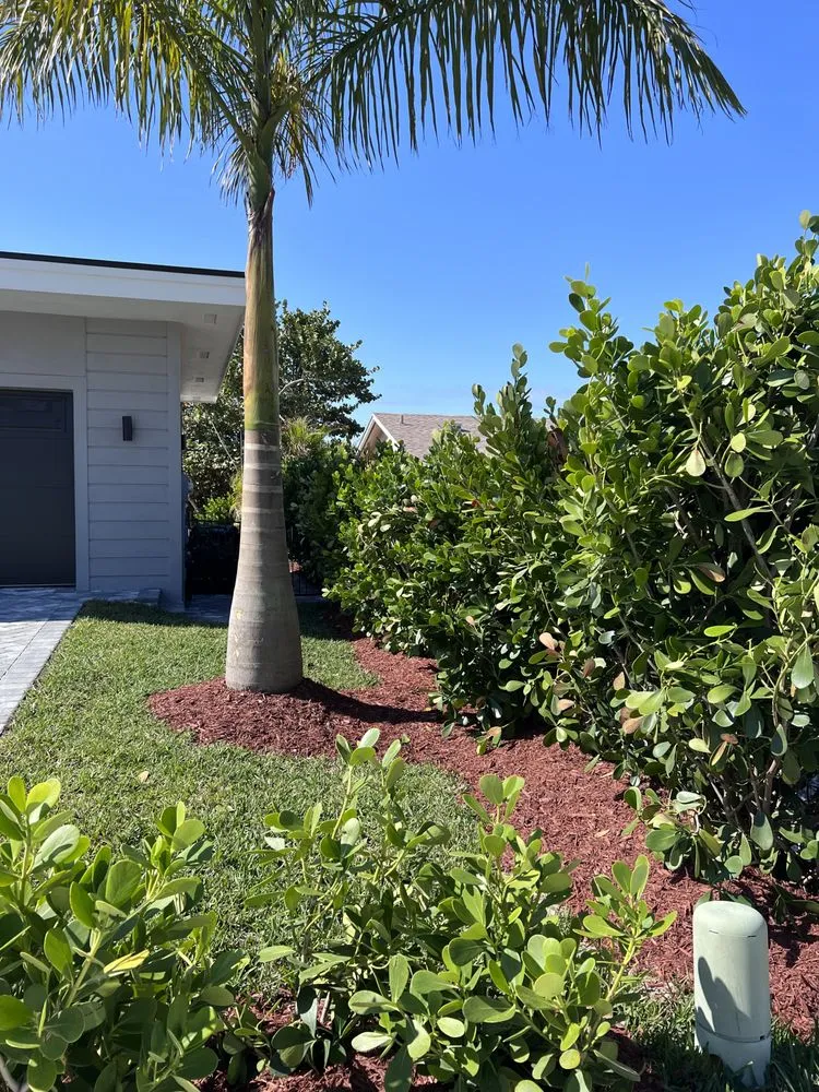 Reliable landscape design in Marco Island, FL - Affordable Landscaping Service & Design