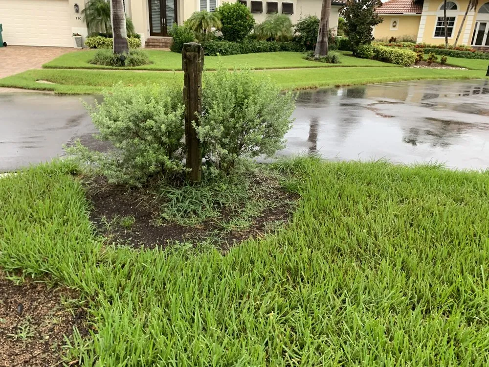 Affordable residential landscaping experts serving Marco Island, FL - Affordable Landscaping Service & Design