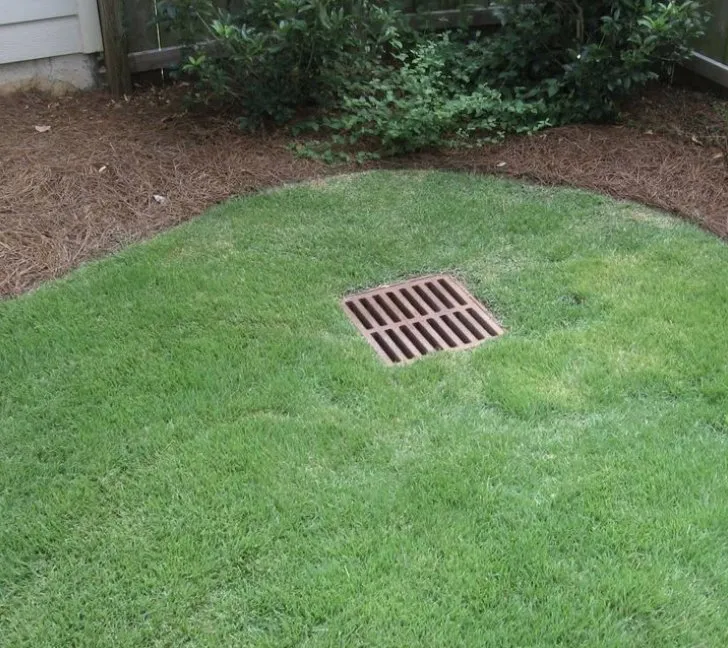 Custom landscaping services for outdoor upgrades in Clayton, NC by Affordable Landscaping Services