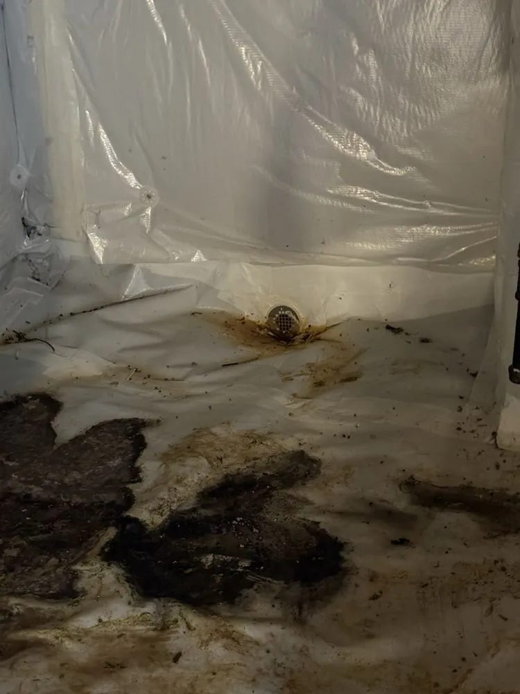 Professional landscape installation experts serving Clayton, NC - Affordable Landscaping Services