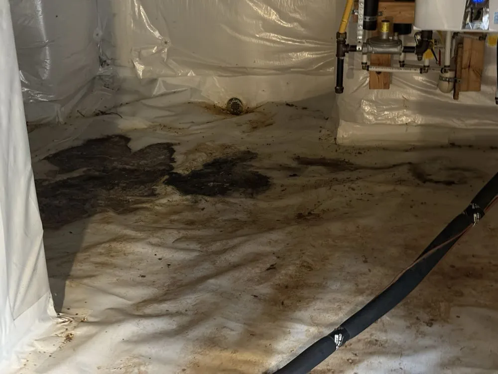 Expert landscape installation in Clayton, NC - Affordable Landscaping Services