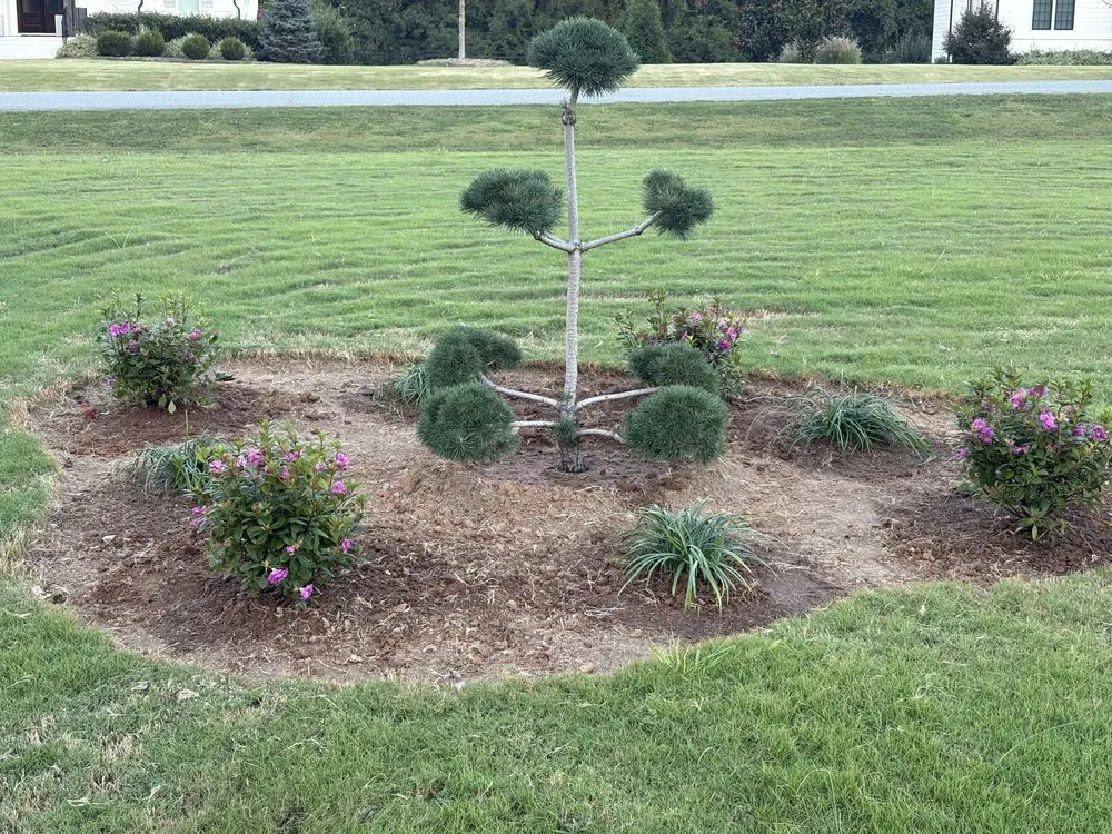 Professional garden landscaping for residential properties across Clayton, NC - Affordable Landscaping Services