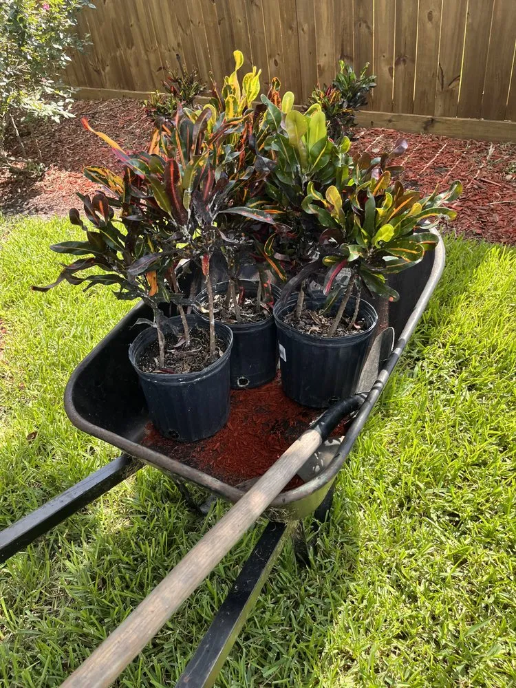 Top-rated landscaping services in Spring, TX - Affordable Landscaping