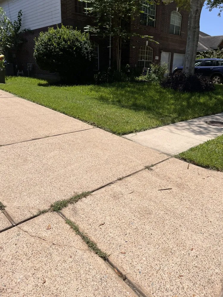 Expert landscaping services for beautiful yards across Spring, TX - Affordable Landscaping