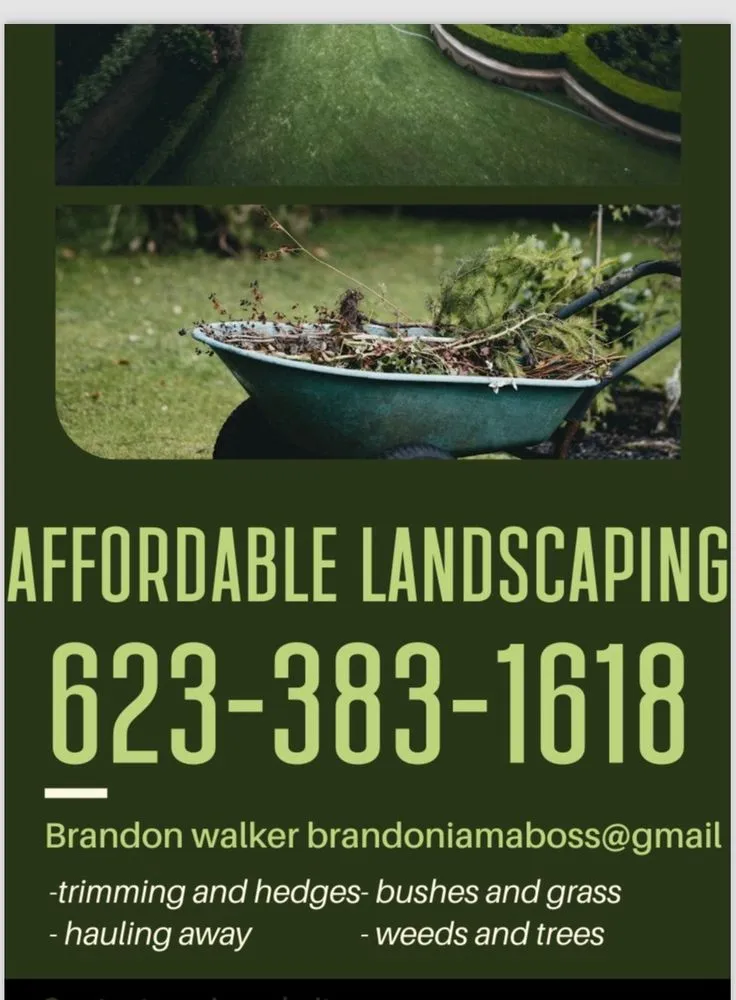 Expert outdoor landscaping for beautiful yards in Surprise, AZ by Affordable Landscaping