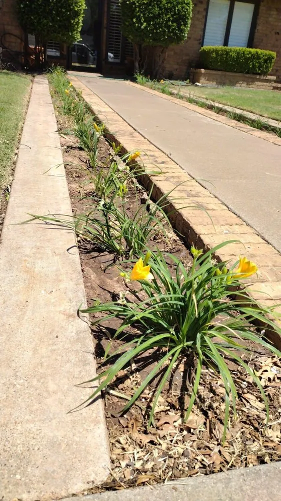 Affordable residential landscaping with custom design across Levelland, TX - Affordable Lawn & Leaf Service