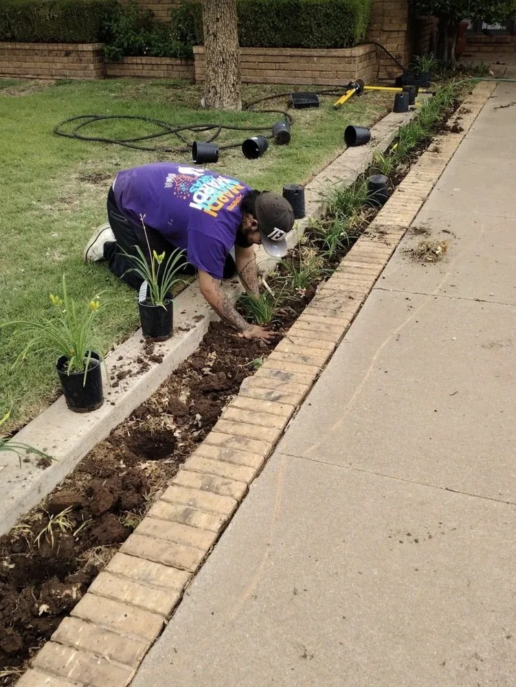 Top-rated landscaping services in Levelland, TX by Affordable Lawn & Leaf Service