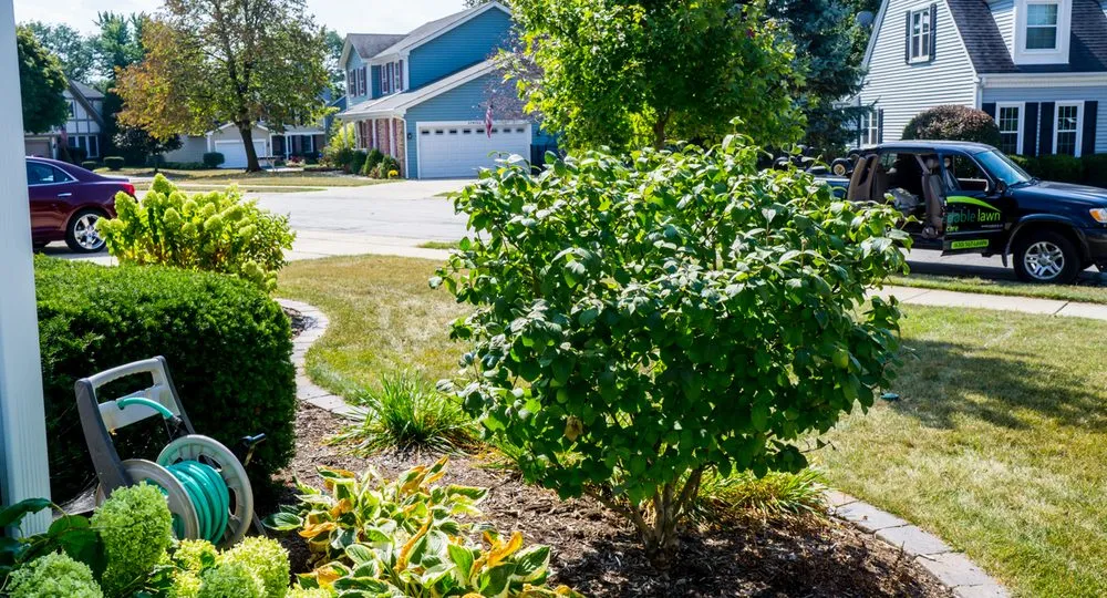 Local outdoor landscaping experts serving West Chicago, IL - Affordable Lawn and Home Care