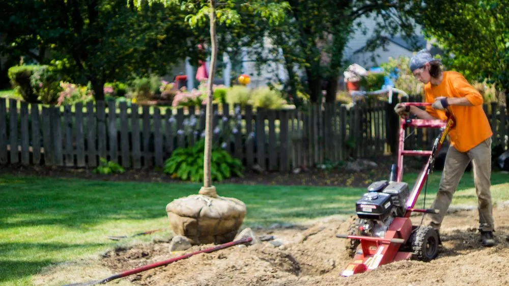 Top-rated residential landscaping experts serving West Chicago, IL - Affordable Lawn and Home Care