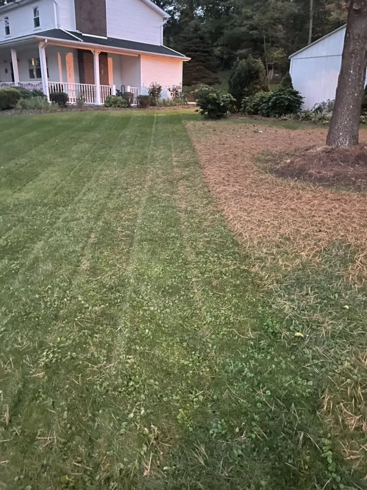 Expert yard maintenance experts serving Altoona, PA - Affordable Lawn And Landscape