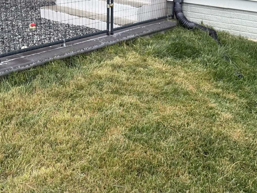 Custom yard cleanup service for beautiful yards in Fredericksburg, VA by Affordable Lawn and Landscaping