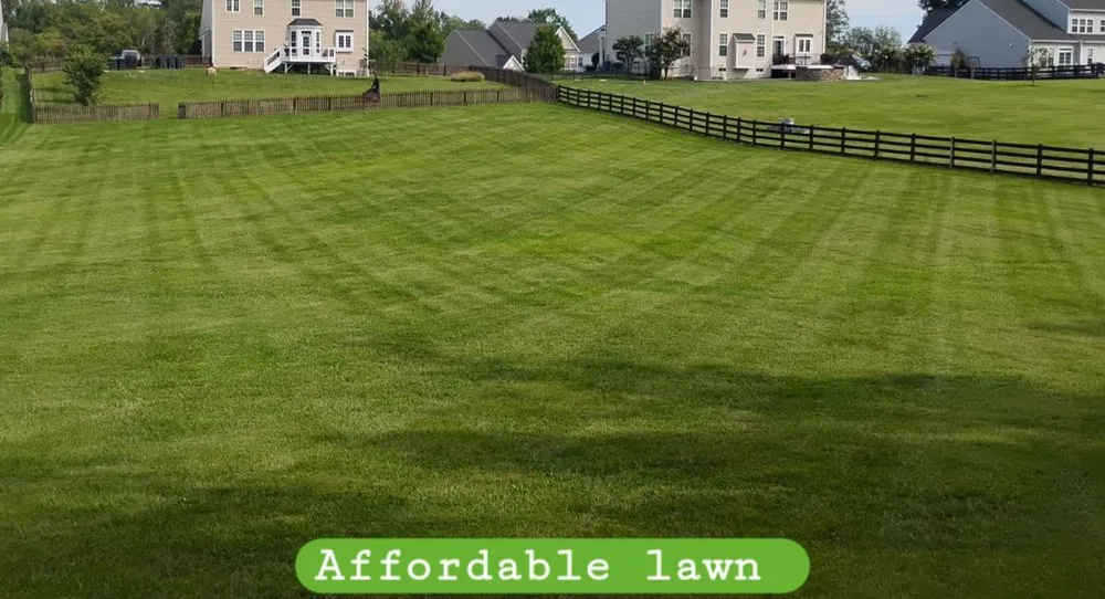 Trusted lawn care service in Fredericksburg, VA by Affordable Lawn and Landscaping