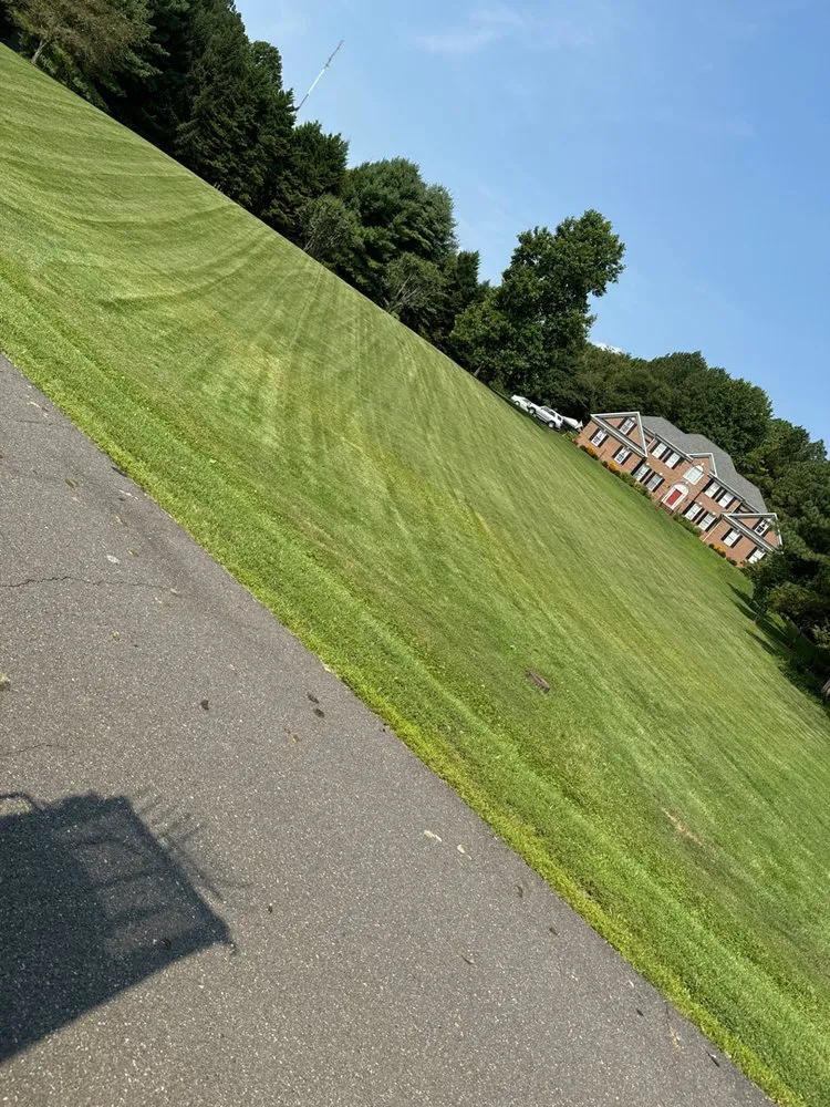 Custom yard cleanup service in Fredericksburg, VA - Affordable Lawn and Landscaping