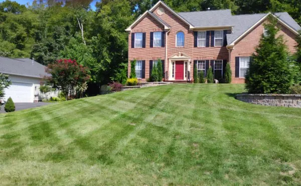 Affordable Lawn and Landscaping Logo