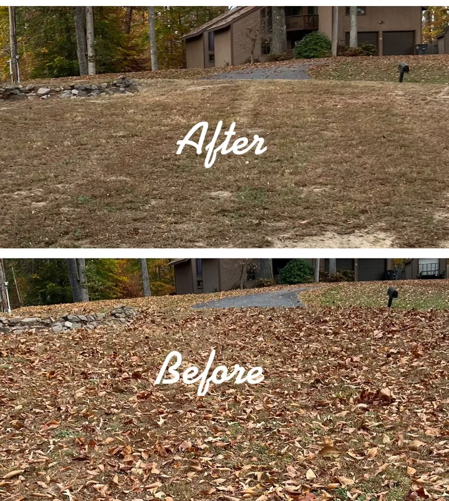 Local yard cleanup service in Kingsport, TN by Affordable Lawn and Landscaping