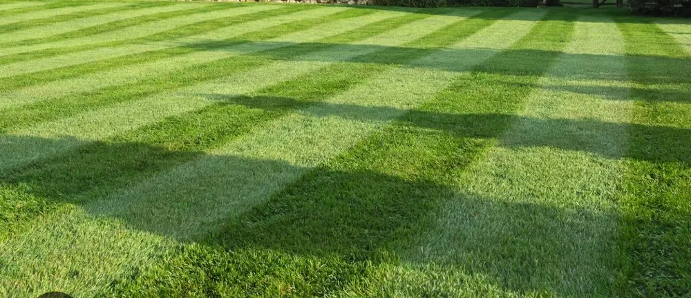 Top-rated lawn care service with custom design in Kingsport, TN by Affordable Lawn and Landscaping