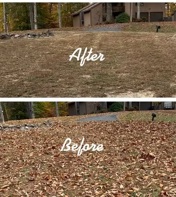 Affordable Lawn and Landscaping Logo