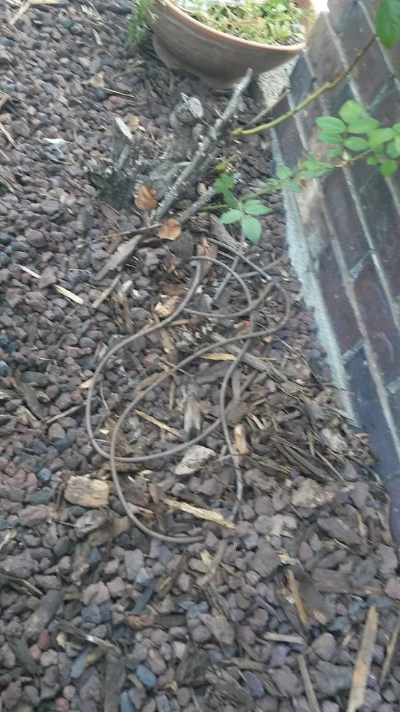 Top-rated yard maintenance for homes across Norman, OK - Affordable Lawn Care & Landscape