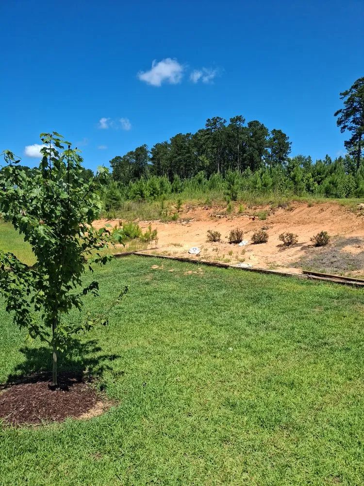 Custom landscaping services in Meridian, MS by Affordable Lawn Care & Landscaping