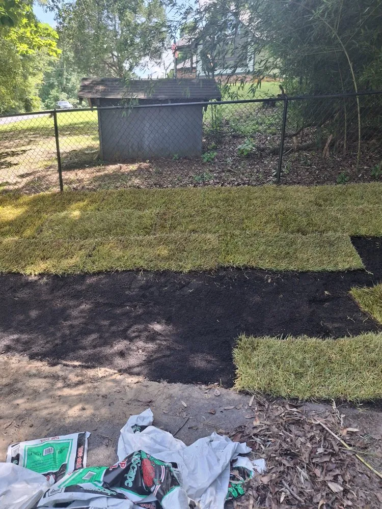 Professional landscaping services in Meridian, MS - Affordable Lawn Care & Landscaping