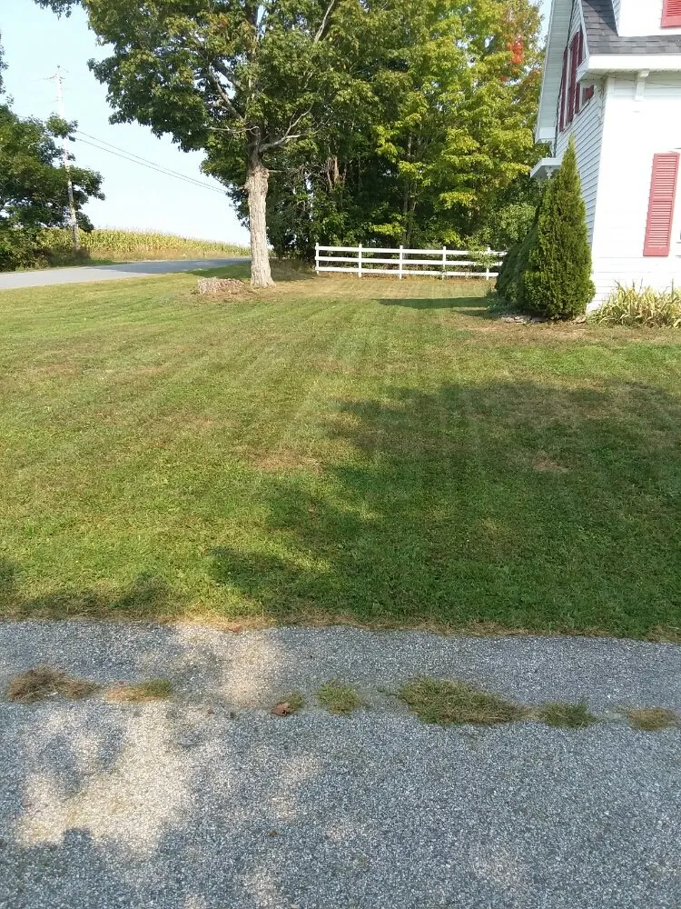 Expert yard cleanup service experts serving Glenburn, ME - Affordable Lawn Care & More