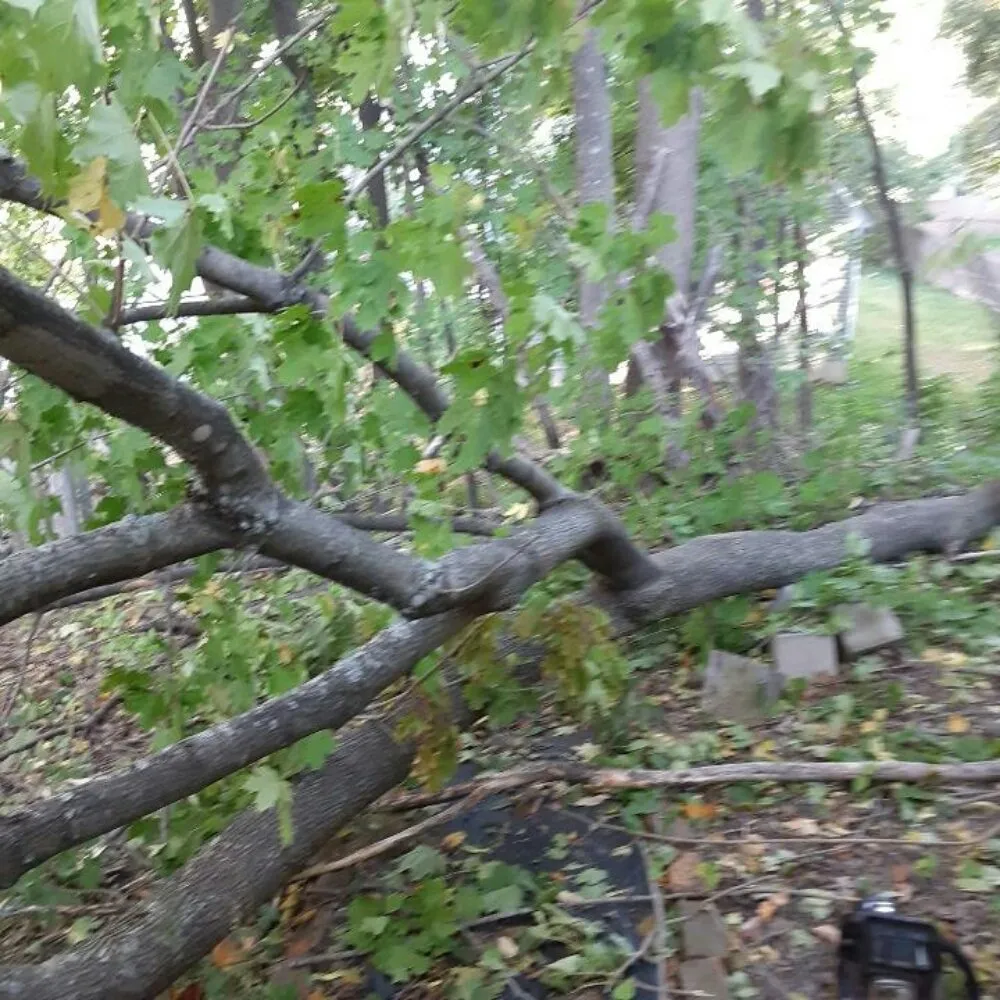 Trusted landscape design for homes across Glenburn, ME - Affordable Lawn Care & More