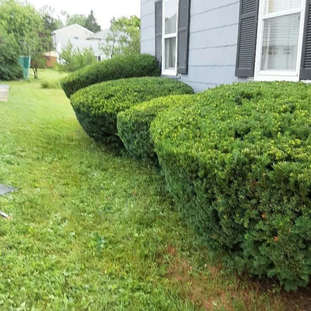 Custom landscape installation in Glenburn, ME - Affordable Lawn Care & More