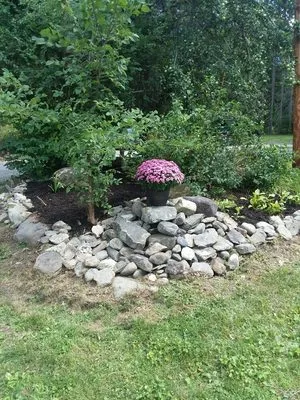 Affordable Lawn Care & More