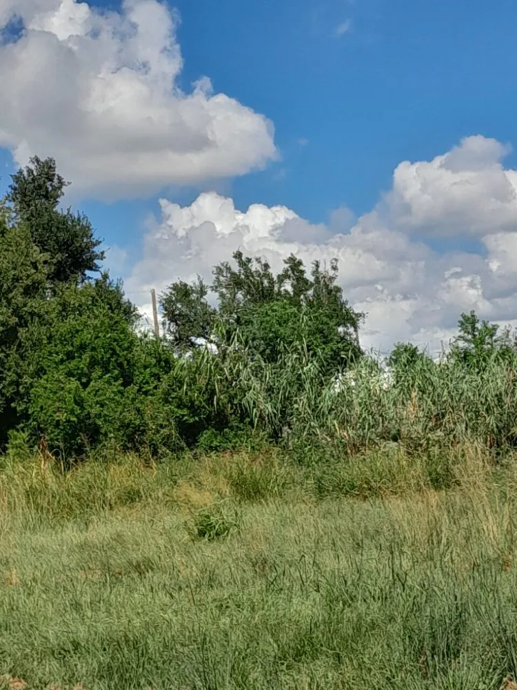 Expert outdoor landscaping for year-round maintenance across Houma, LA - Affordable Lawn Care & Pressure Washing