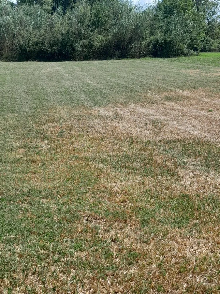 Top-rated garden landscaping for beautiful yards across Houma, LA - Affordable Lawn Care & Pressure Washing