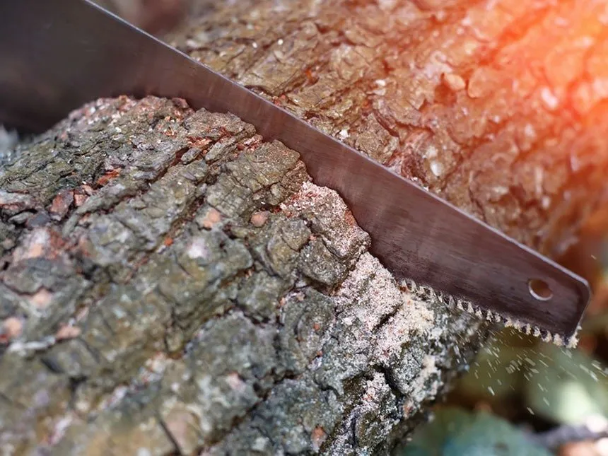 Reliable landscape installation near you in Baltimore, MD by Affordable Lawn Care & Snow Removal