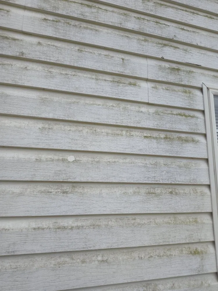 Custom landscaping services in Maiden, NC - Affordable Lawn Care and Junk Removal