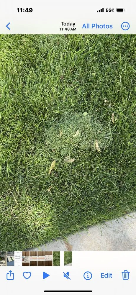 Reliable yard maintenance in South Salt Lake, UT - Affordable Lawn Care and Landscape