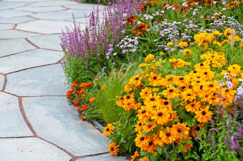 Professional landscape design experts serving South Salt Lake, UT - Affordable Lawn Care and Landscape