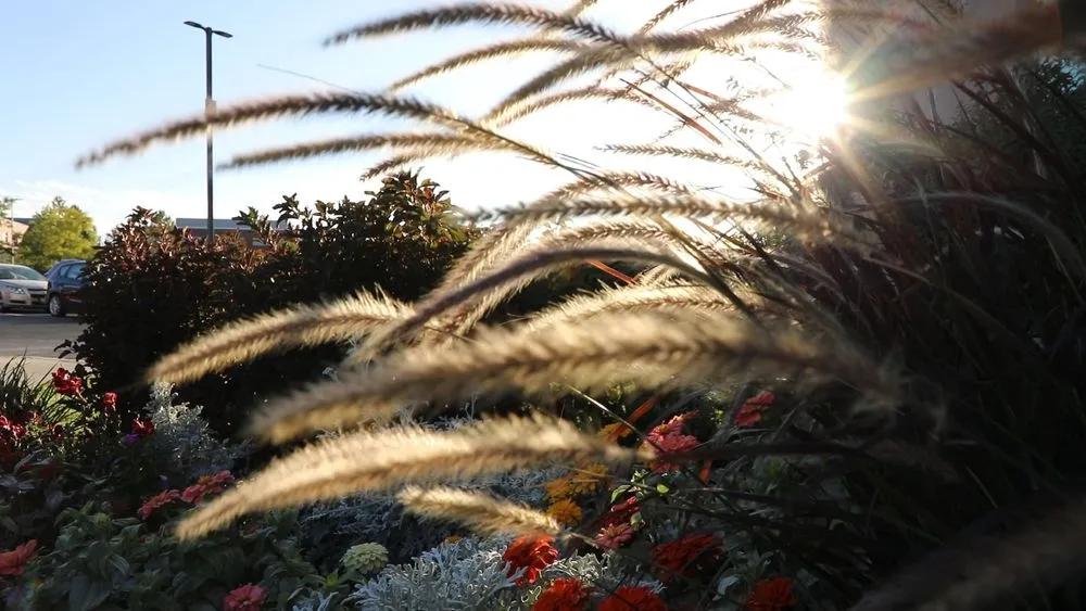 Top-rated lawn mowing service in South Salt Lake, UT - Affordable Lawn Care and Landscape