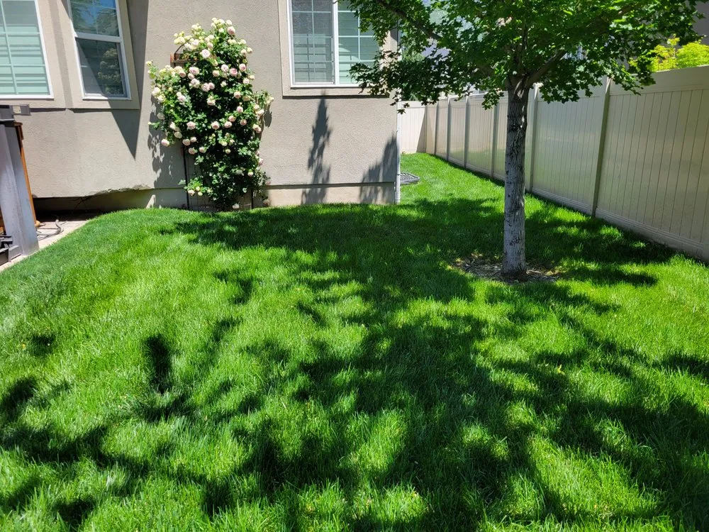 Trusted landscape design for year-round maintenance in South Salt Lake, UT by Affordable Lawn Care and Landscape