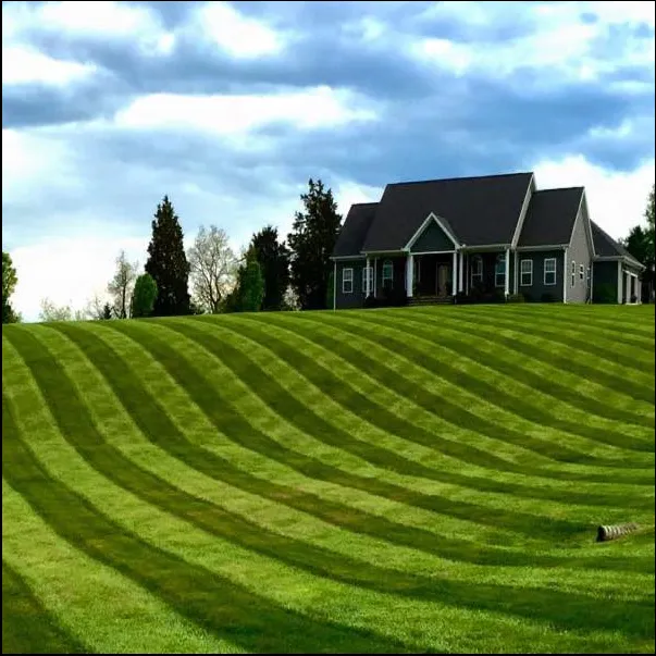 Top-rated yard cleanup service in Branch County, MI by Affordable Lawn Care and Snowplowing