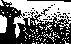 Local garden landscaping in Bluffton, SC by Affordable Lawn Care