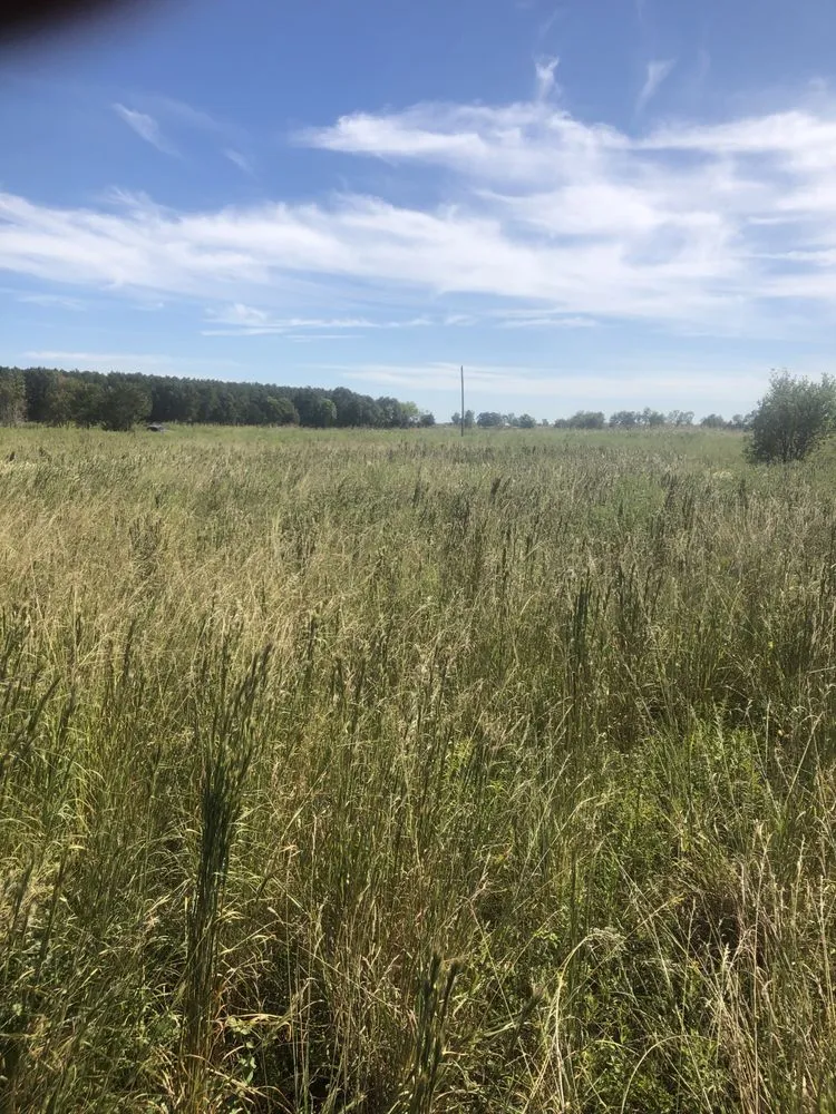 Affordable landscaping services with custom design in Breaux Bridge, LA by Affordable Lawn Care