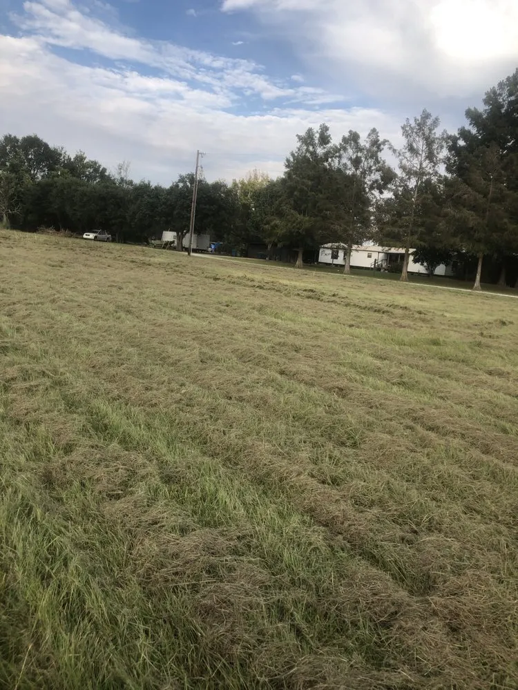 Reliable landscaping services for beautiful yards in Breaux Bridge, LA by Affordable Lawn Care