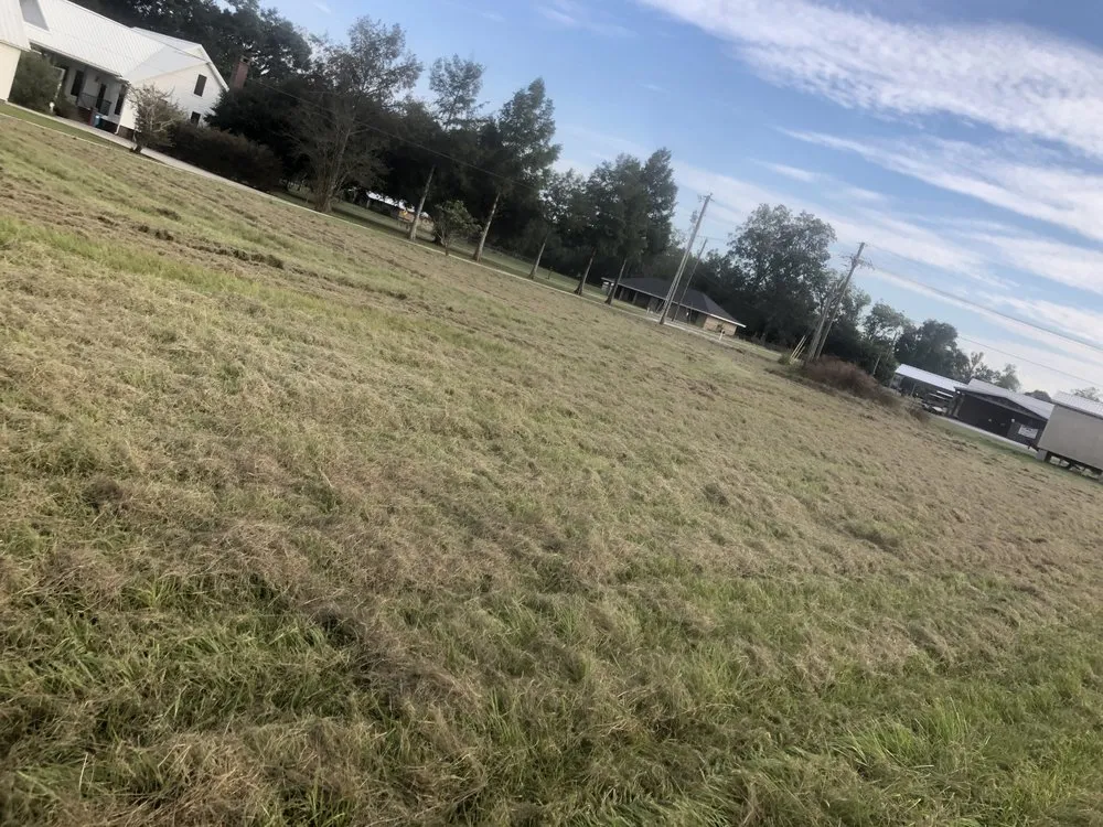 Reliable landscaping services in Breaux Bridge, LA by Affordable Lawn Care