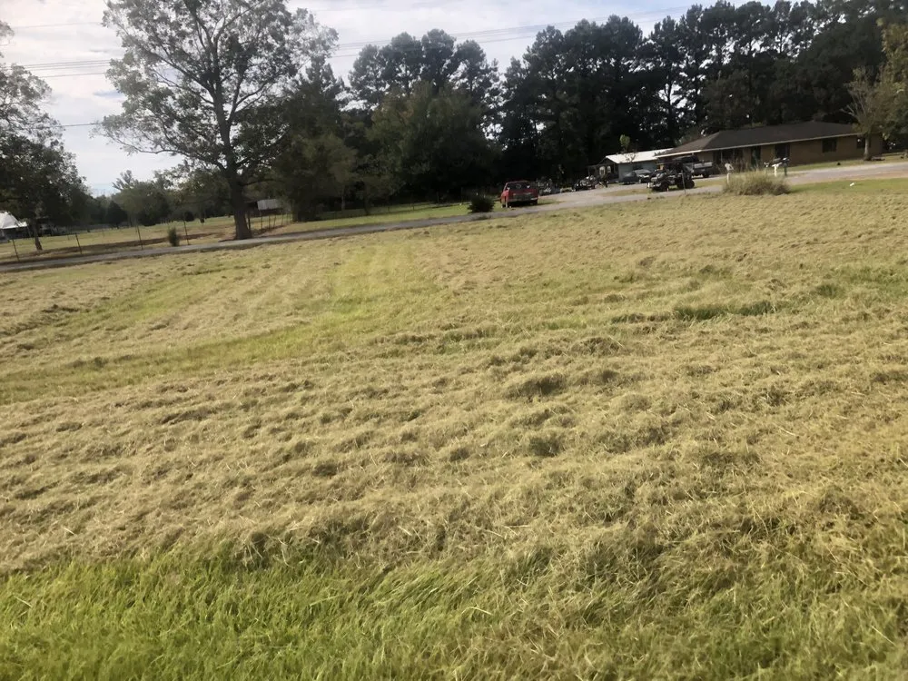 Local outdoor landscaping experts serving Breaux Bridge, LA - Affordable Lawn Care