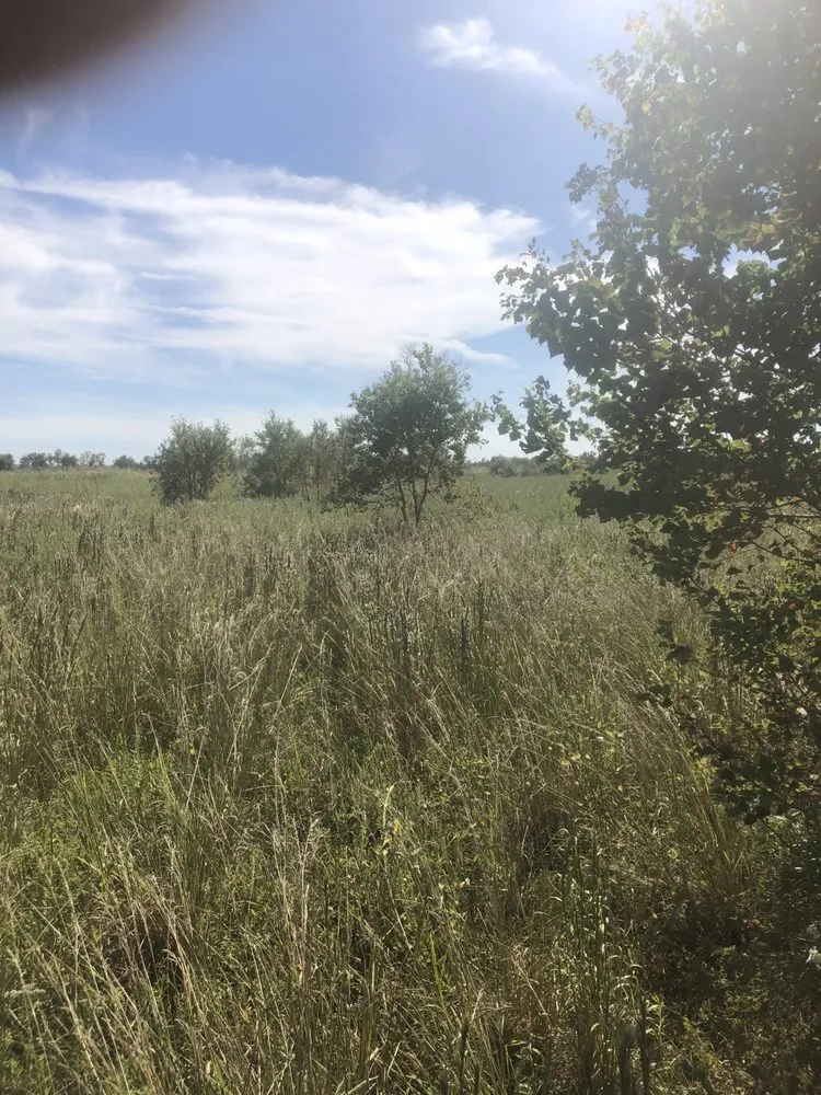 Affordable outdoor landscaping near you in Breaux Bridge, LA by Affordable Lawn Care