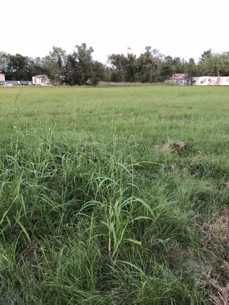 Top-rated yard cleanup service experts serving Breaux Bridge, LA - Affordable Lawn Care