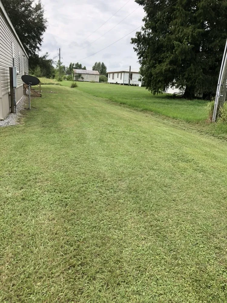 Trusted landscape design for beautiful yards in Breaux Bridge, LA by Affordable Lawn Care