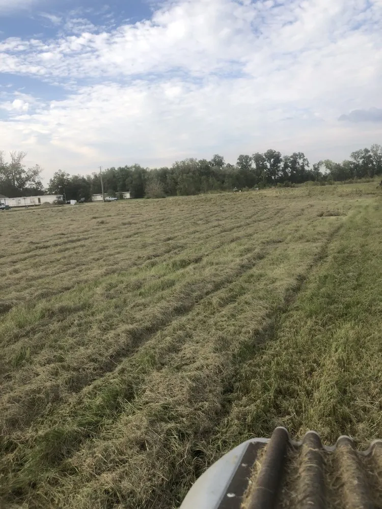 Trusted landscape installation in Breaux Bridge, LA - Affordable Lawn Care