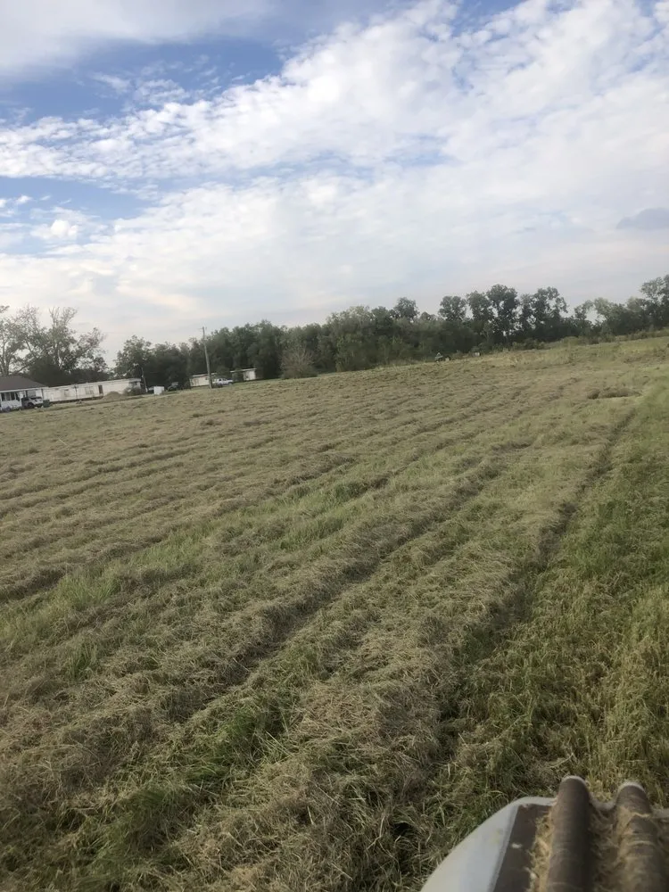 Professional lawn care service in Breaux Bridge, LA - Affordable Lawn Care