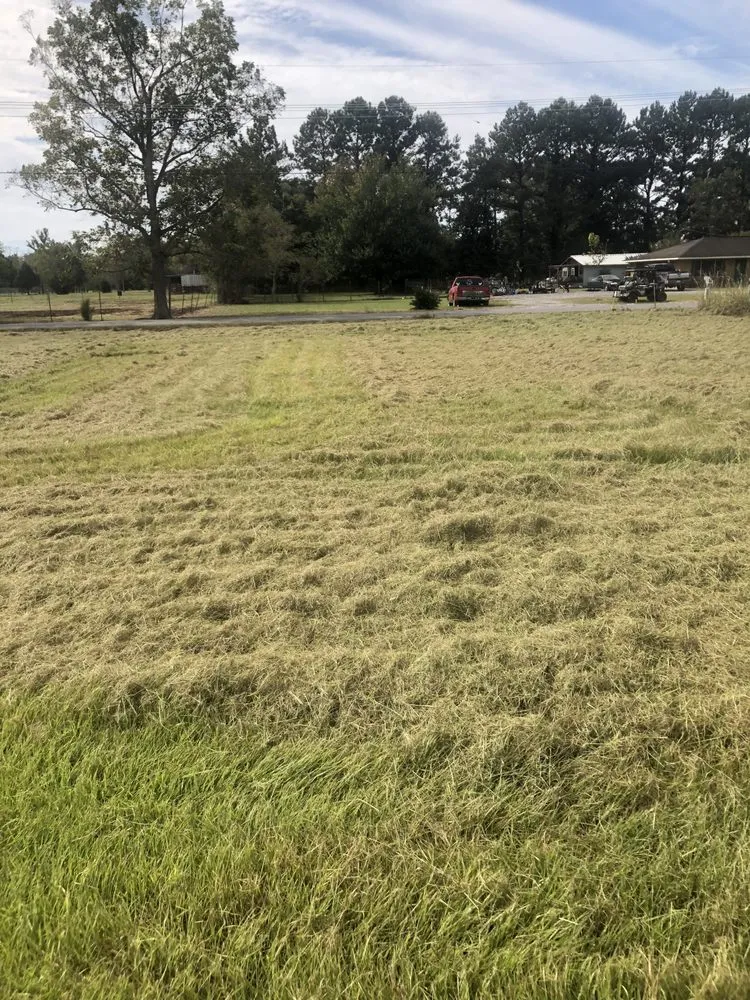 Expert landscape design in Breaux Bridge, LA - Affordable Lawn Care