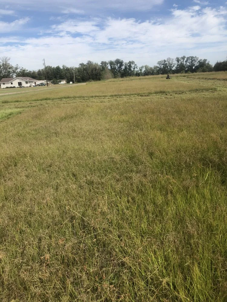 Trusted garden landscaping for residential properties in Breaux Bridge, LA by Affordable Lawn Care