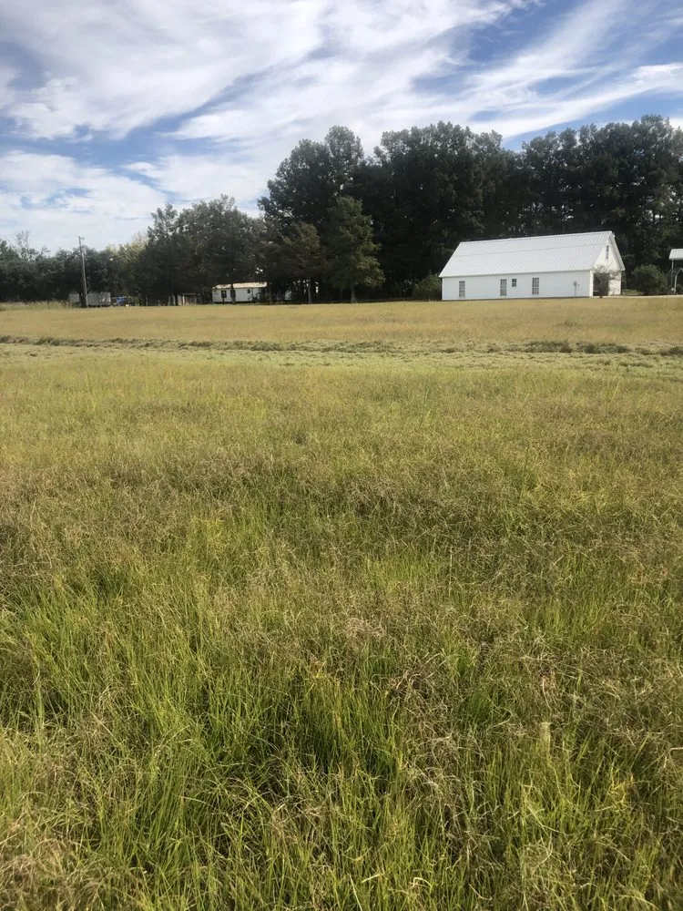 Reliable lawn care service for year-round maintenance in Breaux Bridge, LA by Affordable Lawn Care